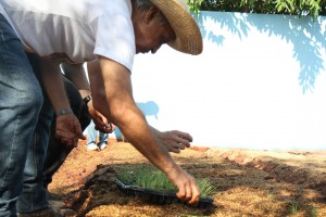 Voluntário da unidade faz o plantio das hortaliças. (Foto: Marlon Ganassin)