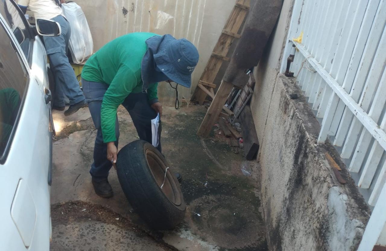 Atuação conjunta reforça combate ao mosquito Aedes aegypti em Campo Grande