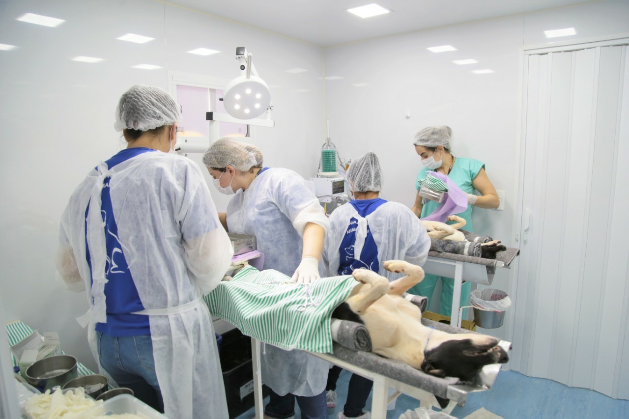 Com mais de 1,1 mil procedimentos já realizados, Castramóvel chega a região da Vila Fernanda