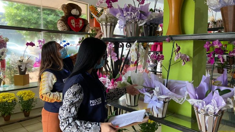 Procon Municipal encontra variação de até 200% em preços de flores e 494%  em hotéis | CGNotícias