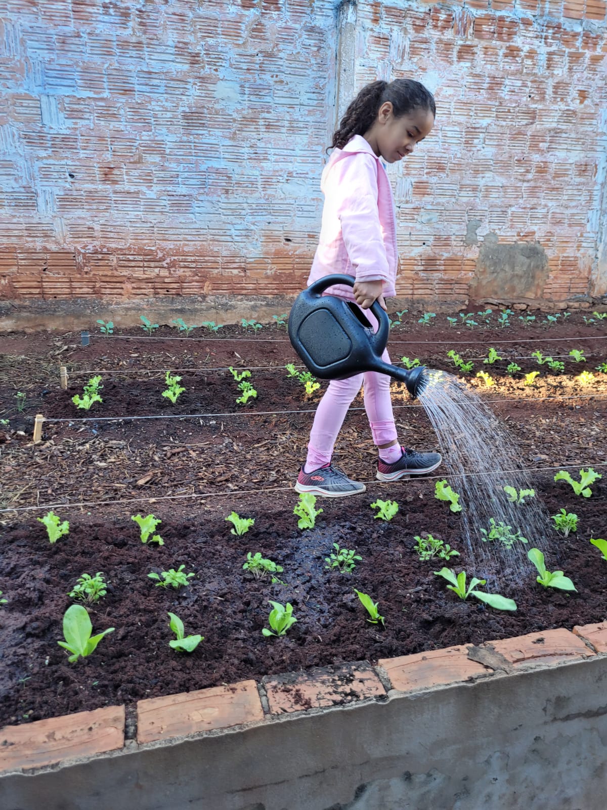 FAC Sustentável leva implantação de hortas comunitárias para dentro das escolas municipais