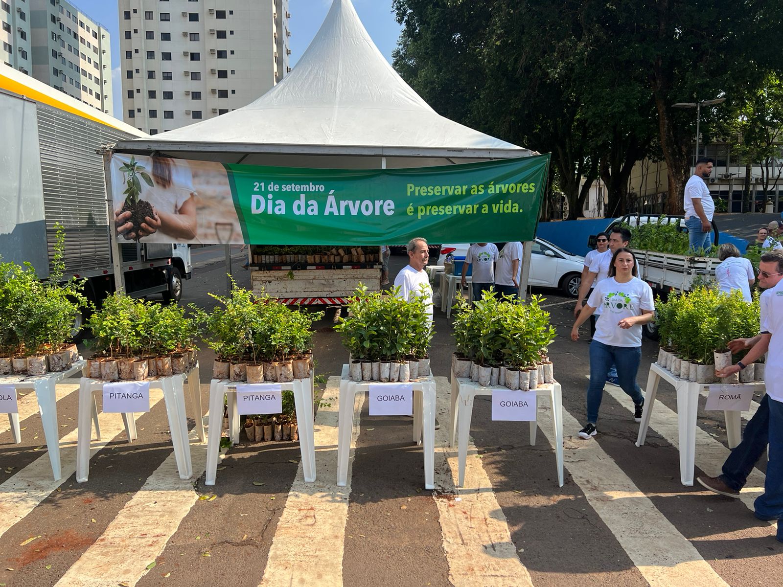 Tradicional distribuição de árvores frutíferas atrai milhares de campo-grandenses na manhã deste sábado