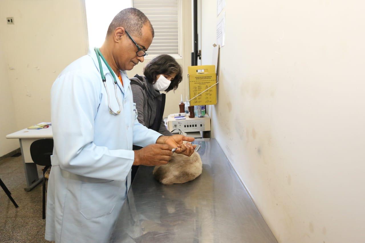 Serviços veterinários gratuitos dão alívio para tutores de animais sem condições financeiras