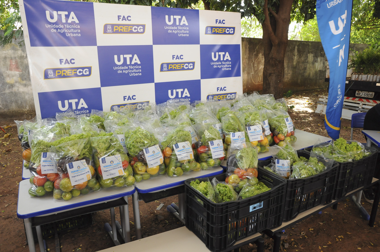 População vulnerável recebeu mais de 58,6 mil kits de legumes e verduras via FAC