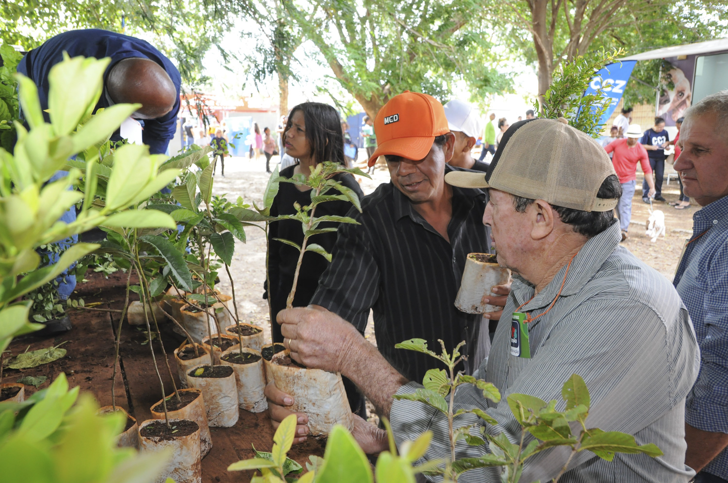 ‘Todos em Ação’ no bairro Nova Campo Grande leva mais de 300 serviços à população neste sábado
